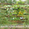 කාර්යාලයීය ගෙවත්ත